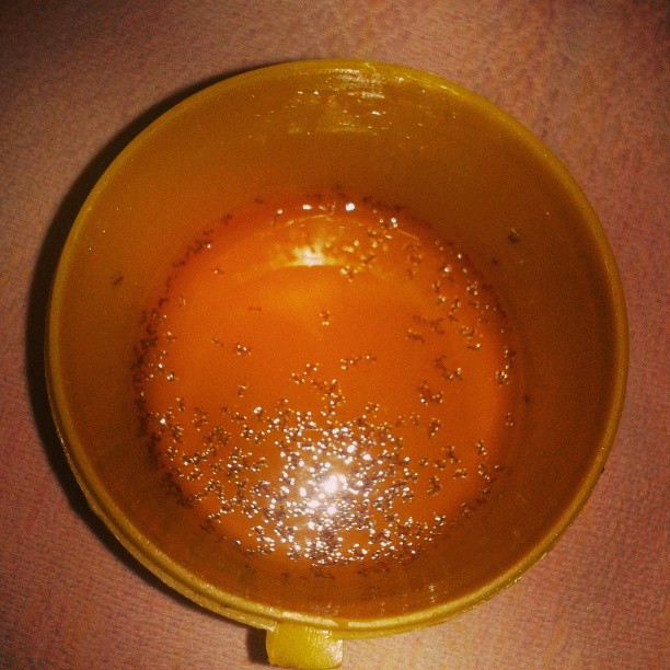 همراه‌نگاره:  مورچه های خنگ! این که عسل نیست