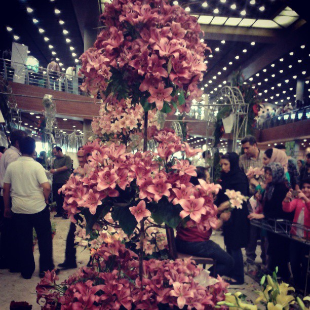 همراه‌نگاره:  نمایشگاه گل و گیاه