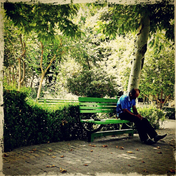 همراه‌نگاره:  ظهر تابستان است