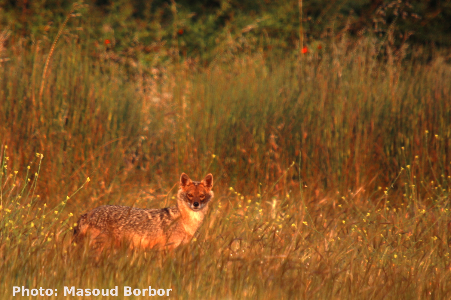 این بهشت روزی نخواهد بود