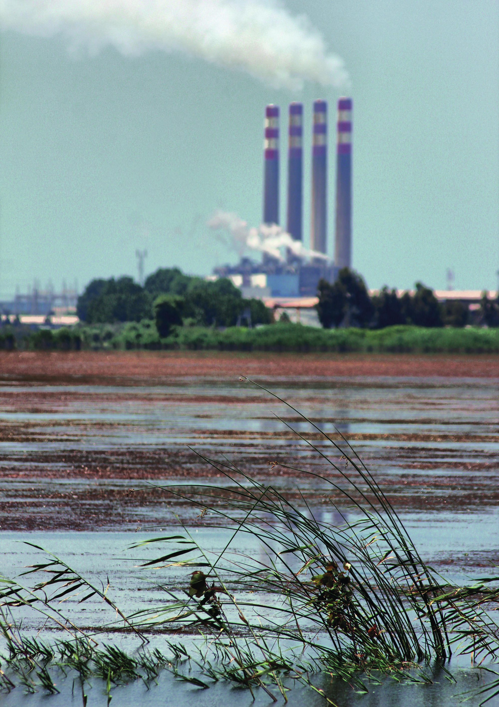 اخطار به ویرانگران سرزمین : توسعه د‌یگر بهانه خوبی نیست
