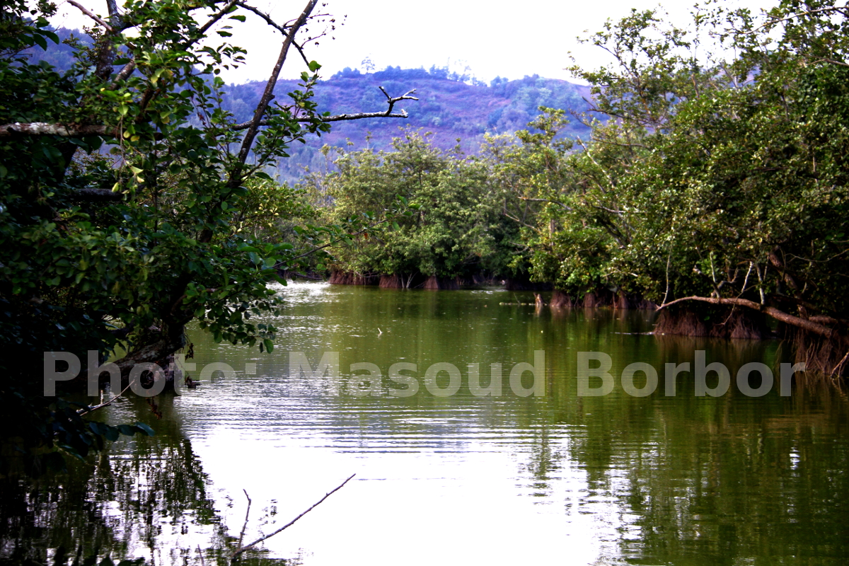 آستارا شهری از کـوه و آب و درختان شناور