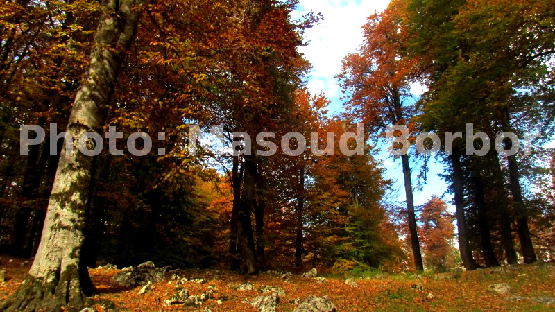 درفک سفر به دیدنی‌های پاییز