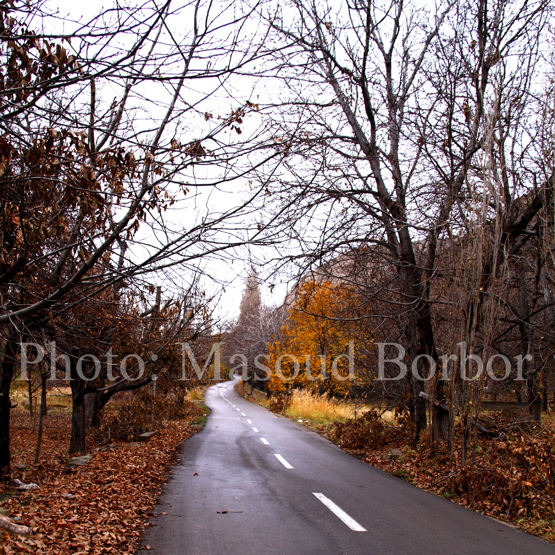 سه قدم در پاییز