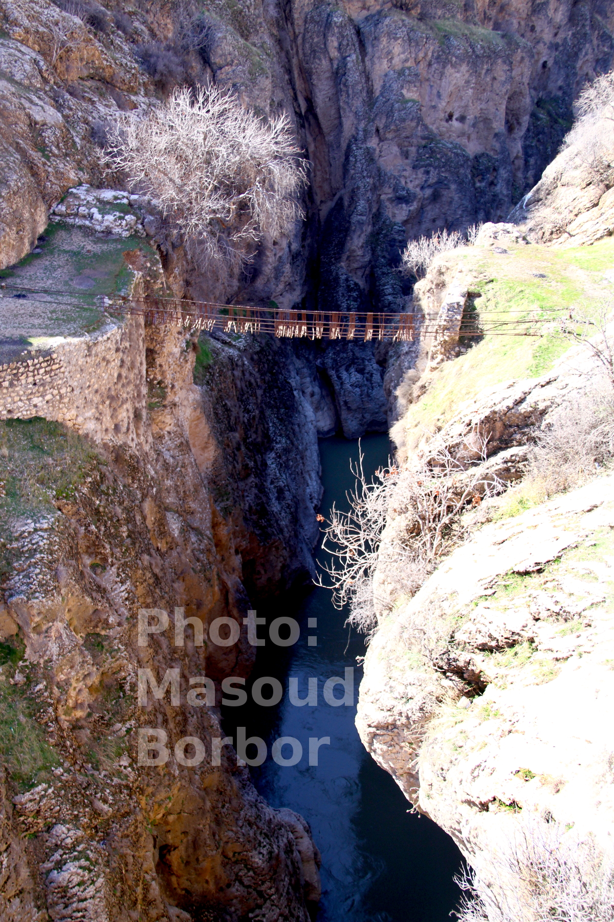 کوچ، هنوز از روی همین پل