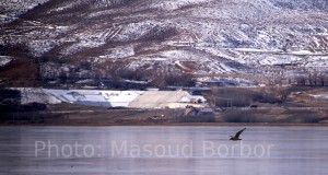 احداث تونل انتقال آب سبزکوه بدون مجوز زیست محیطی:  ۳۰۰ میلیون متر مکعب آب در خطر است