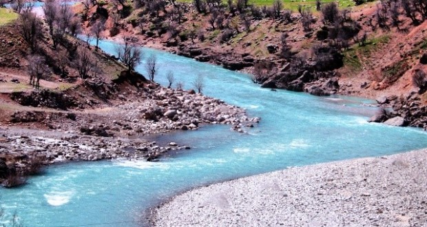 نگاره:  بازفت