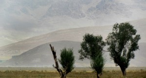 محیط زیست را قربانی فشارهای سیاسی نکنید