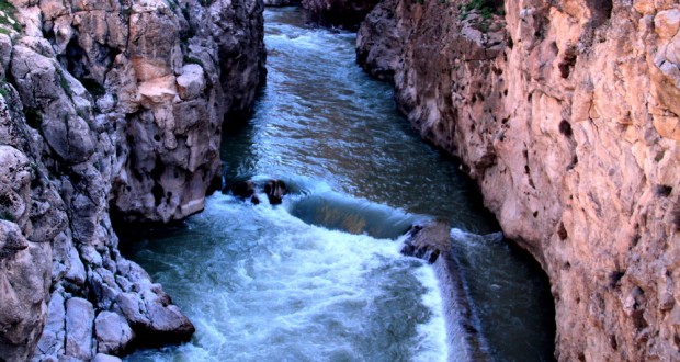 آب دامان دولت را لکه‌دار نکند