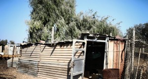 نگاره:  A few minutes from the modern expensive touristy city, Kish, you can find a poor village still in its entirely rural style, called Baghu