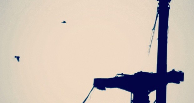 نگاره:  شکسته در باد