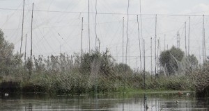 پرندگان قاچاق در باغ پرندگان