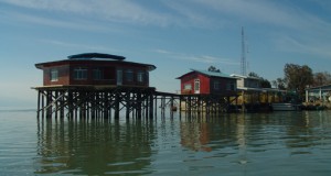 سلطانی‌فر به جای محیط زیست دغدغه میراث داشته باشد