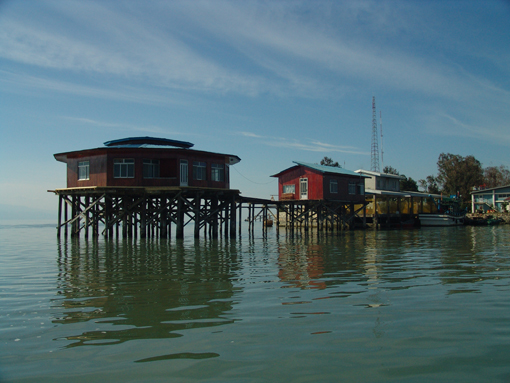 سلطانی‌فر به جای محیط زیست دغدغه میراث داشته باشد