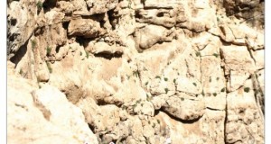 ایستاد‌ن بر لبه تاریکی: زندان دیو