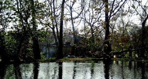 نگاره:  اینجا زمانی باغ ملک بود