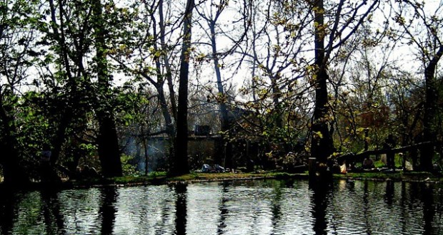 نگاره:  اینجا زمانی باغ ملک بود