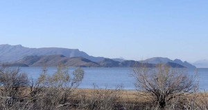 قید بختگان را هم باید بزنیم