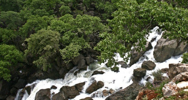 نگاره:  یک تصویر ناآشنای دیگر از طبیعت خوزستانبالادست آبشار نگین پشت تالاب شیمبار در اندیکا بهشت خوزستانAn unfamiliar picture of Khuzestan nature