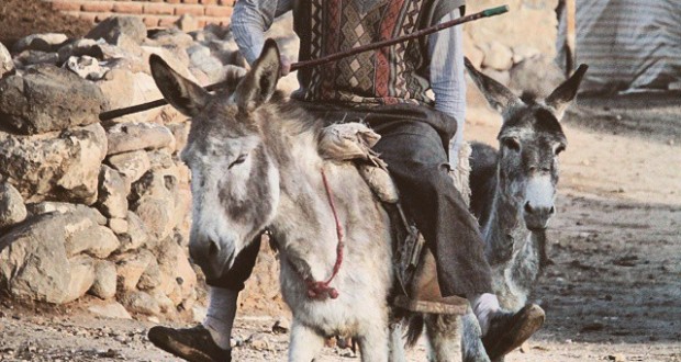 نگاره:  حس یک لبخند قدیمی