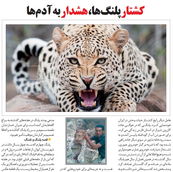 کشتار پلنگ ها، هشدار به آدم‌ها