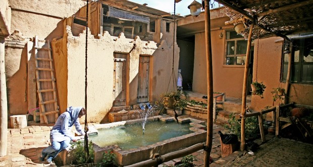 رویش درخت حقوق بشر از آرامگاه کوروش