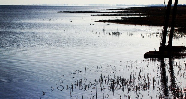 نگاره:  آب پایه‌های برج دیده‌بانی تالاب را پاشویه می‌کرد…