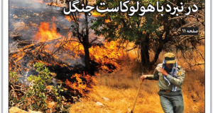 دست‌های خالی در نبرد با هولوکاست جنگل