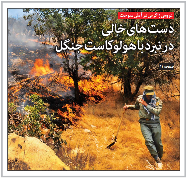 دست‌های خالی در نبرد با هولوکاست جنگل