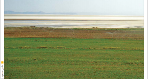 قدم‌های کند برای نجات آخرین نفس‌های دریاچه