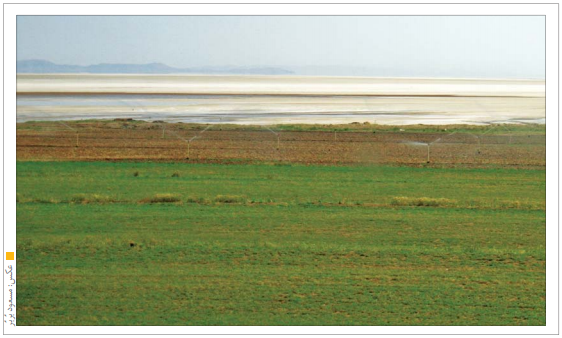 قدم‌های کند برای نجات آخرین نفس‌های دریاچه