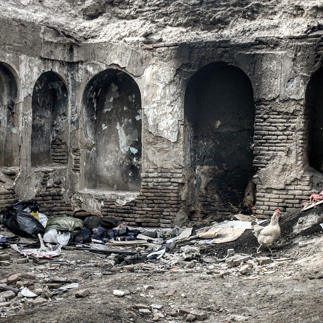 نگاره:  یواش! اینجا خانه یک نفر است. می‌بینیدش؟