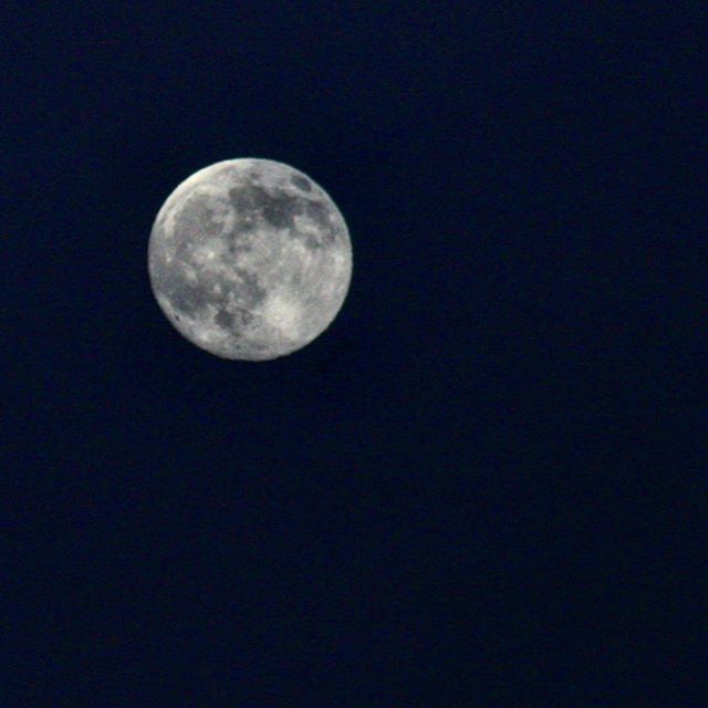 نگاره:  Blue Moon