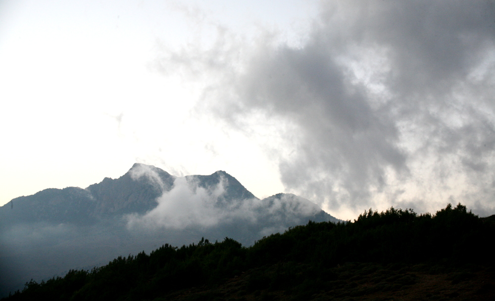 جنگل کبود و کوه کبود و افق کبود