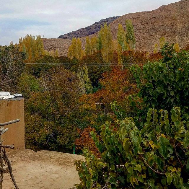 نگاره:  پاییز خانه برزک