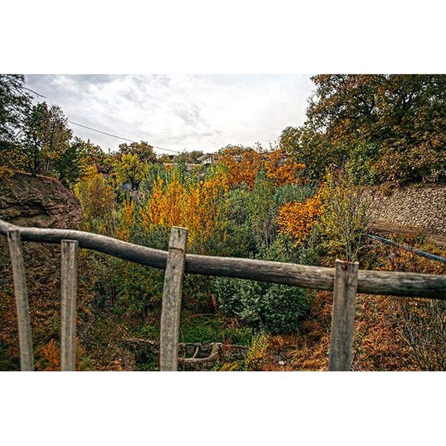 نگاره:  پاییز از روی پل قدیمی