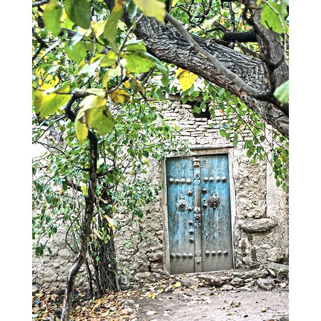 نگاره:  دری از میان باغ‌های پاییزی