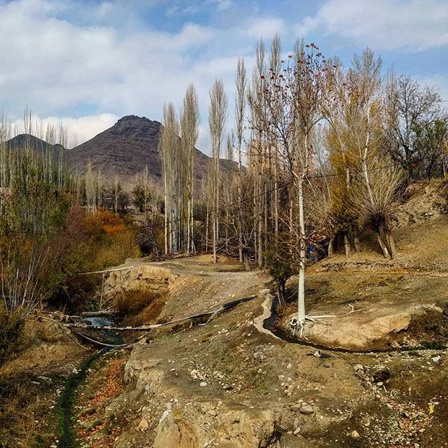 نگاره:  هم‌نوایی رنگ‌های پاییزی