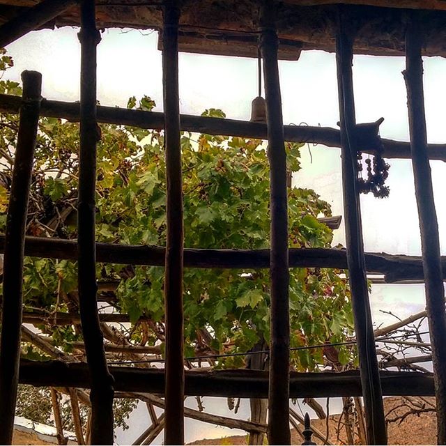 نگاره:  پشت پنجره خانه