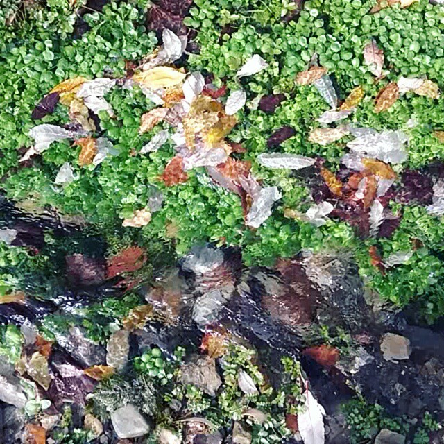 سفر و اقامت در دل طبیعت و تاریخ: برزک