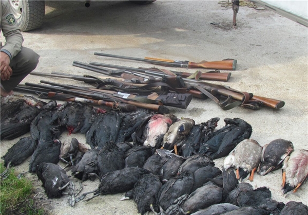 هجوم ۱۶۰ قایق شکارچی به آشوراده /حراست دریا هیچ اقدامی نکرد