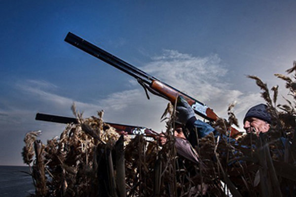 چراغ سبز محیط‌زیست به مافیای شکار/سرشماری به پروانه شکار بدل نشود