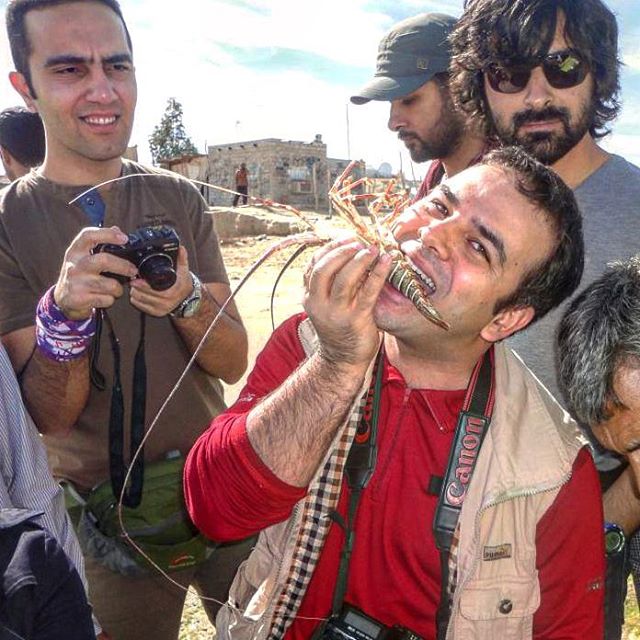 نگاره:  بفرمایید شاه میگوی زنده با طعم اقیانوس