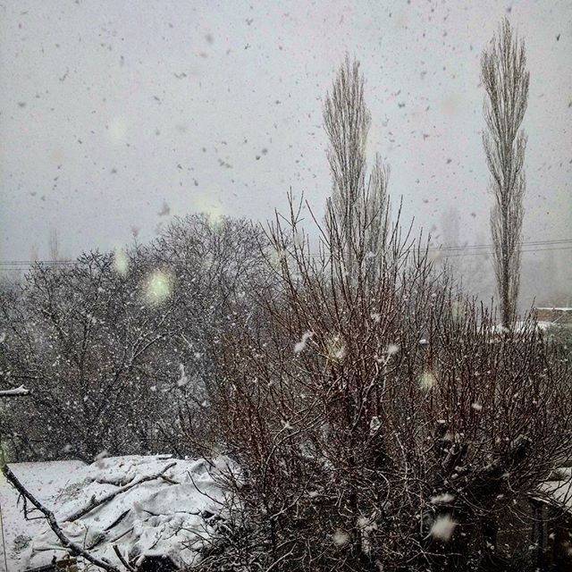 نگاره:  و لحظاتی بعد چنین شد آن برف بهاری