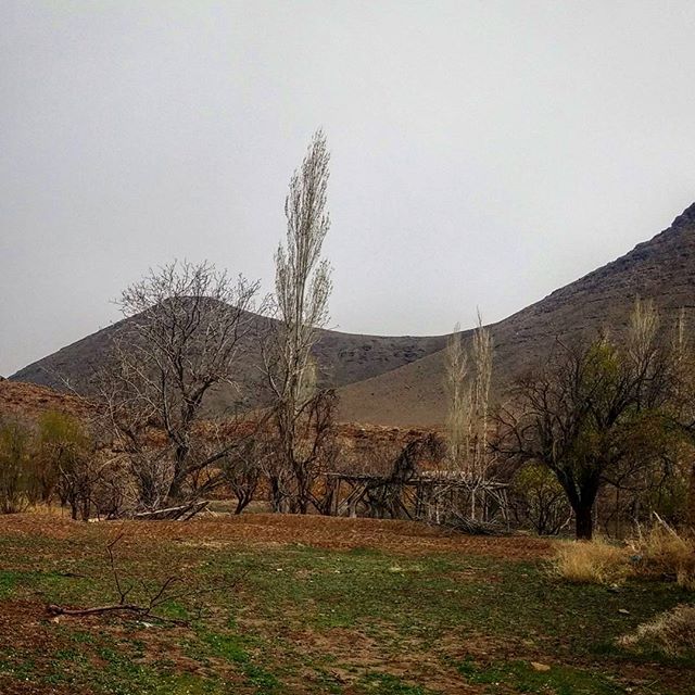 نگاره:  برف بهاری برزک