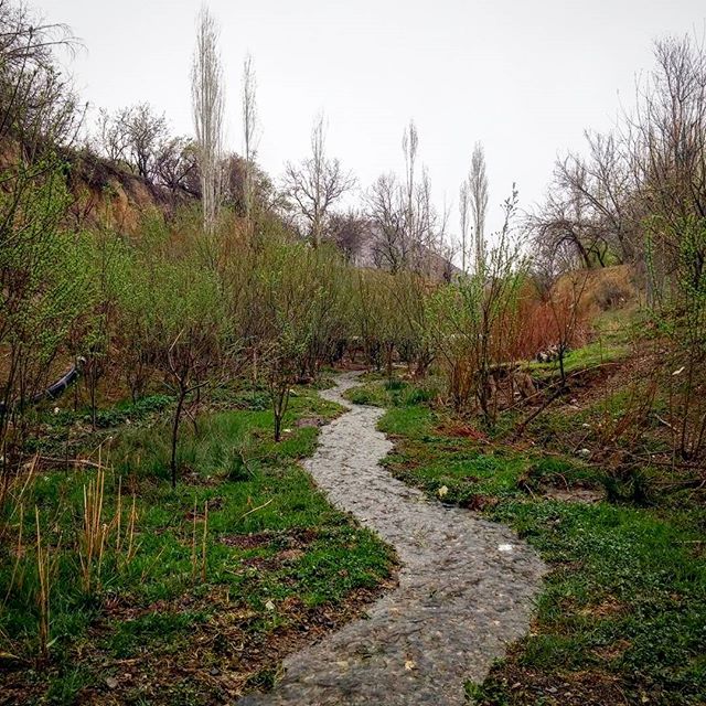 نگاره:  بهار در بعد از ظهر بارانی چشمه احمدآباد برزُک