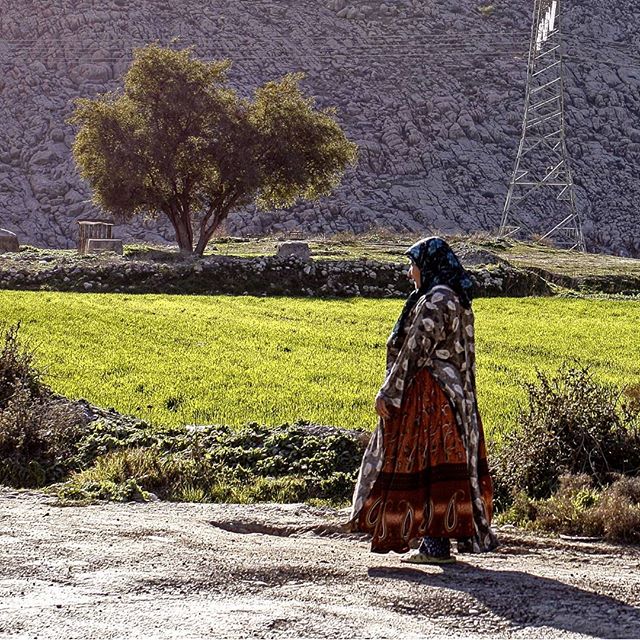 نگاره:  خورشید از پشت می‌تابید و گرد همه چیز هاله‌ای از نور می‌آفرید. زن سایه‌ای بود که از میان هاله‌های نور می‌گذشت، همجوار خاک و آفتاب