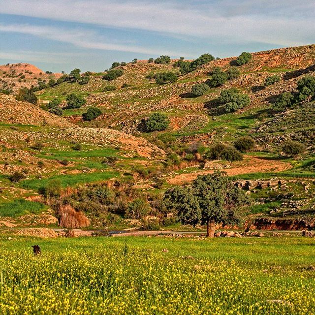 نگاره:  چشم‌انداز روستای قلعه بردی اندیکا