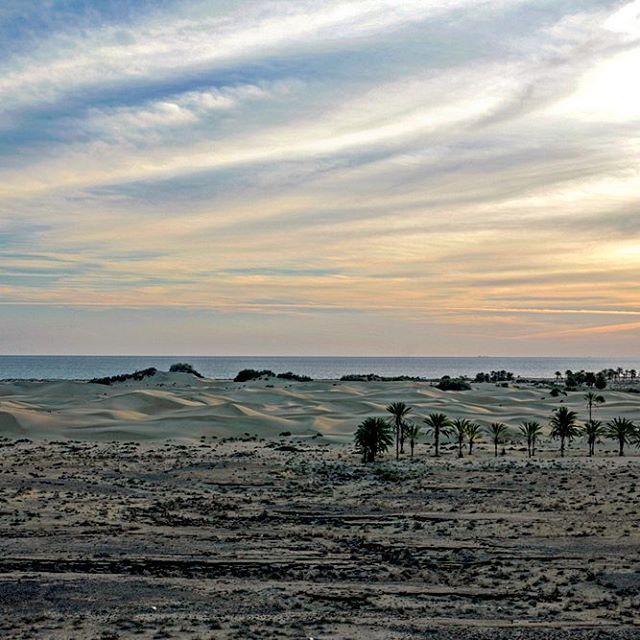 نگاره:  ساحل خیال‌انگیز دَرَک