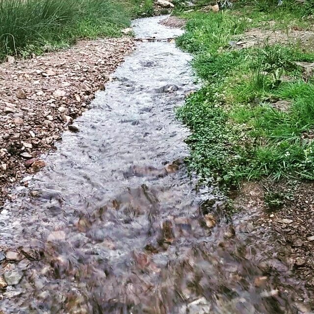 نگاره:  صدای پای آب